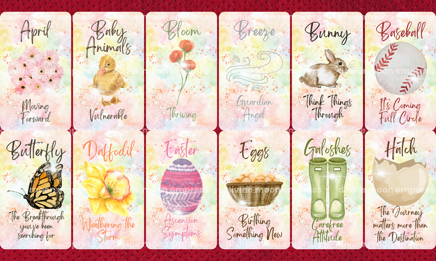 Hello Spring Oracle | 50-Cards