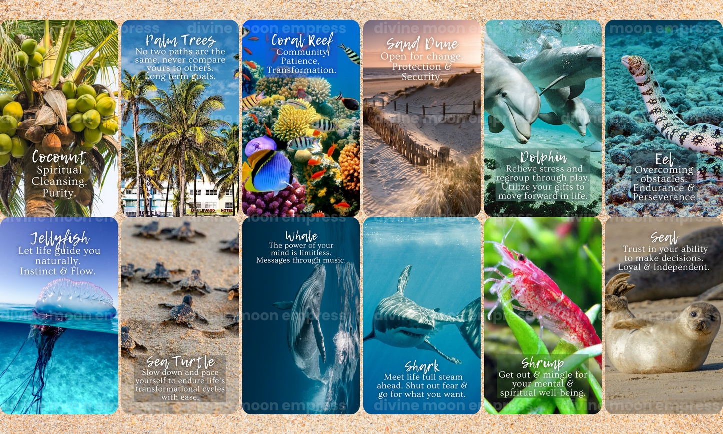Oracle Of The Sea | 90 Cards